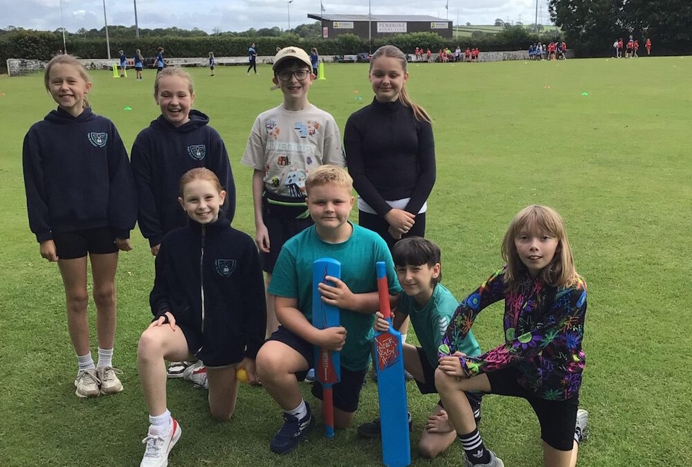 Cricket Team Pembroke Festival