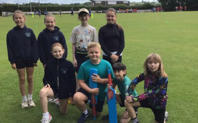 Cricket Team Pembroke Festival