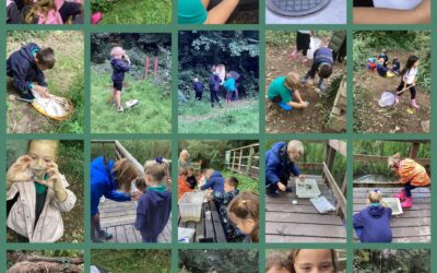 Dosbarth Lleuad visit Pwllchrochan